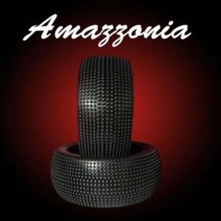 AMAZZONIA Medium Pair of tyres - No Rims