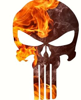 Waterproof Skull Decal Flames