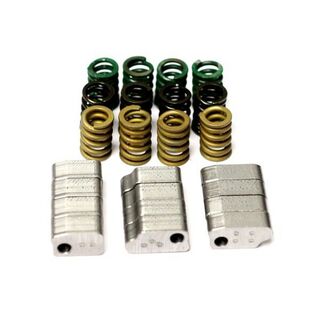 TUNING KIT FOR TURTLE RACING SNAPPER CLUTCH