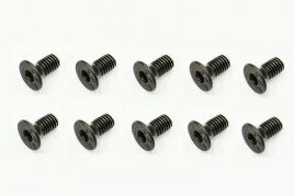 SERPENT  Screw Allen countersunk m3x6   x10