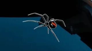 Realistic Redback Spider Decal
