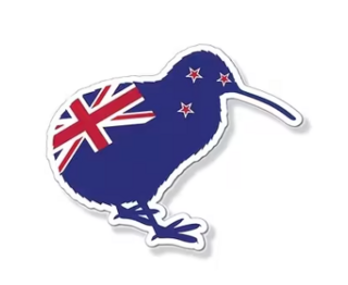 NZ Kiwi Waterproof Decal